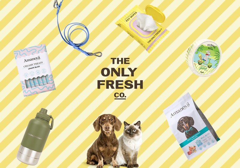  The Only Fresh Company punta sul digitale: Fattoretto Agency vince la gara SEO internazionale